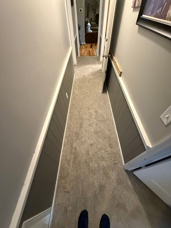 Carpet Installation and Replacement