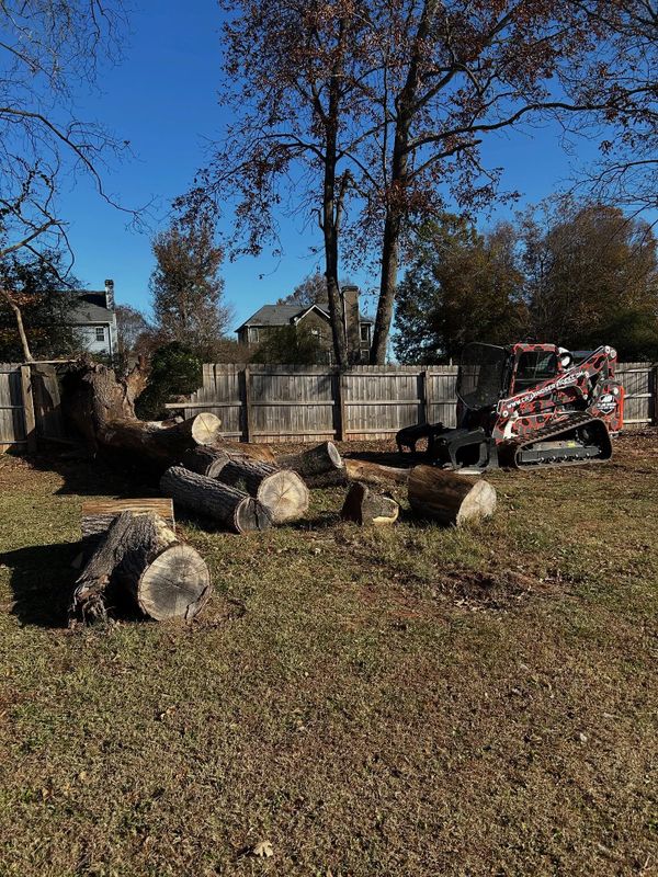 Tree Work