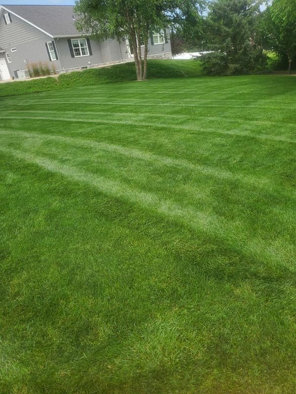 Lawn Mowing