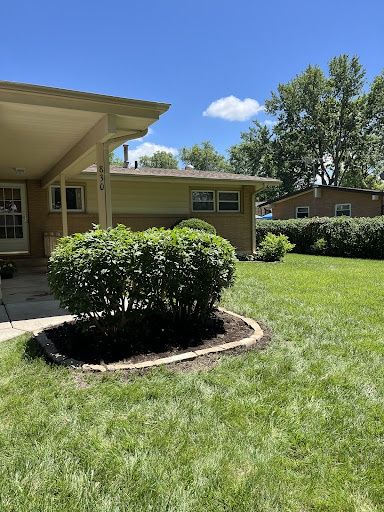 Landscape Bed Installation and Renovation