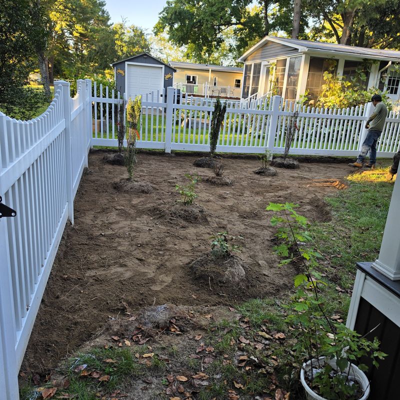 Tree & Shrub Care