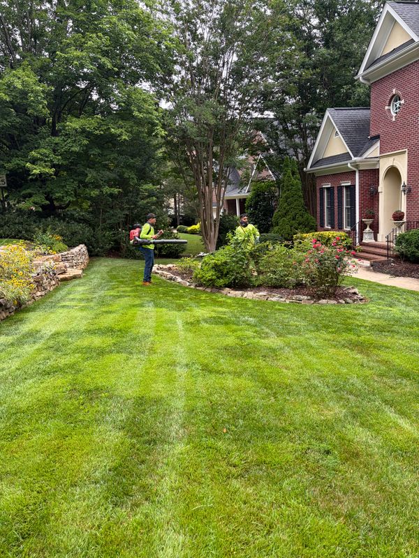 Lawn Care Services