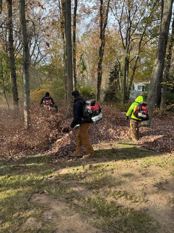 Spring & Fall Clean ups gallery