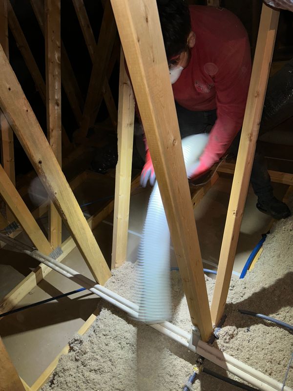 Insulation Removal