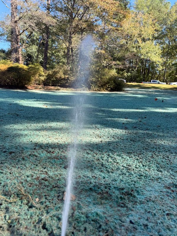 Hydroseeding
