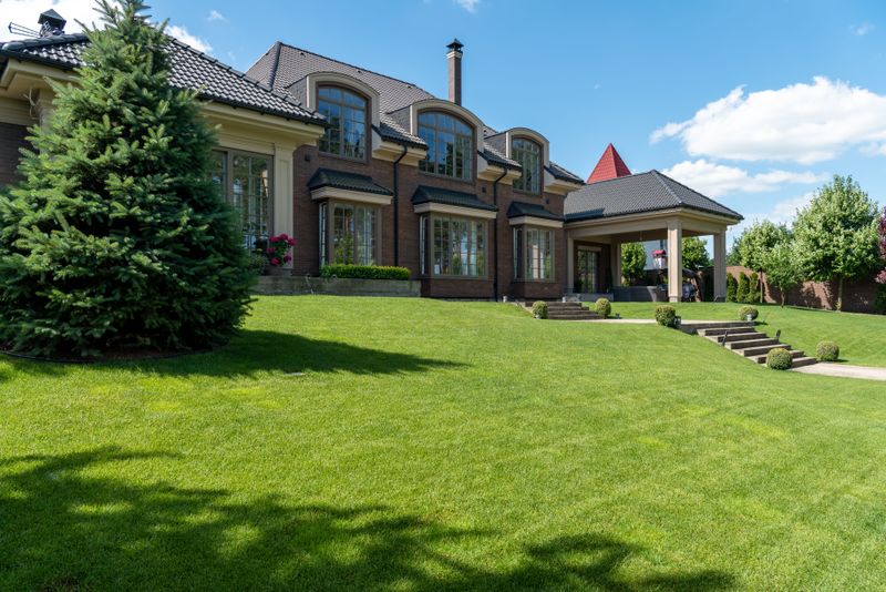 Lawn Care and Maintenance