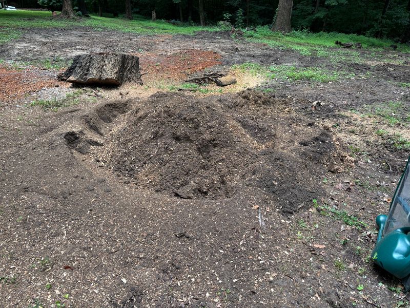 Stump Removal