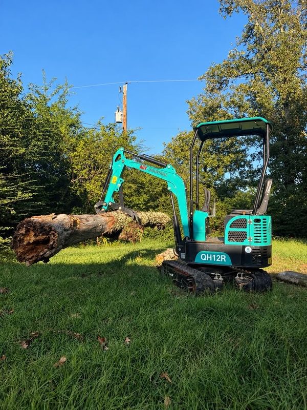 Tree Removal