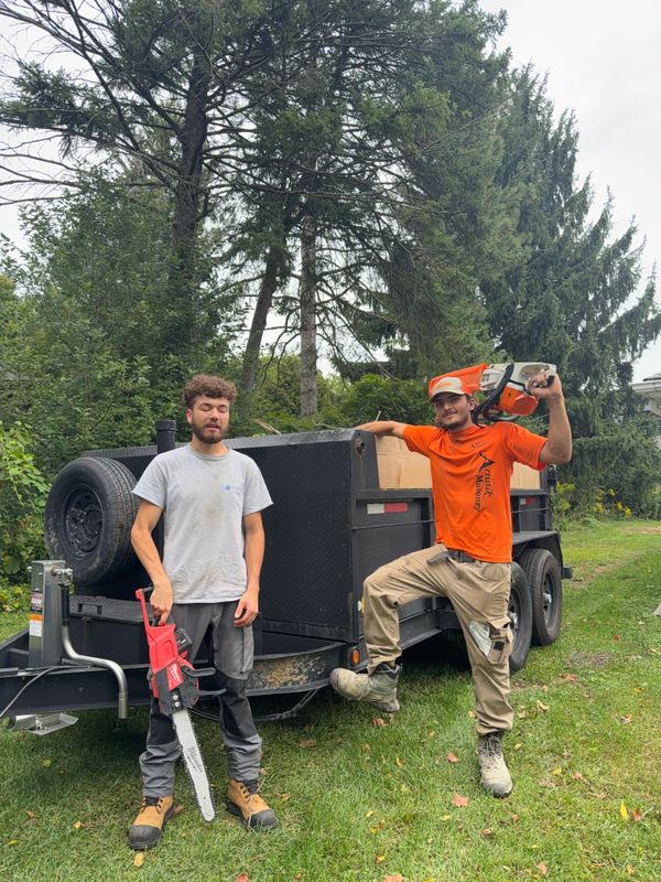 Tree Removal