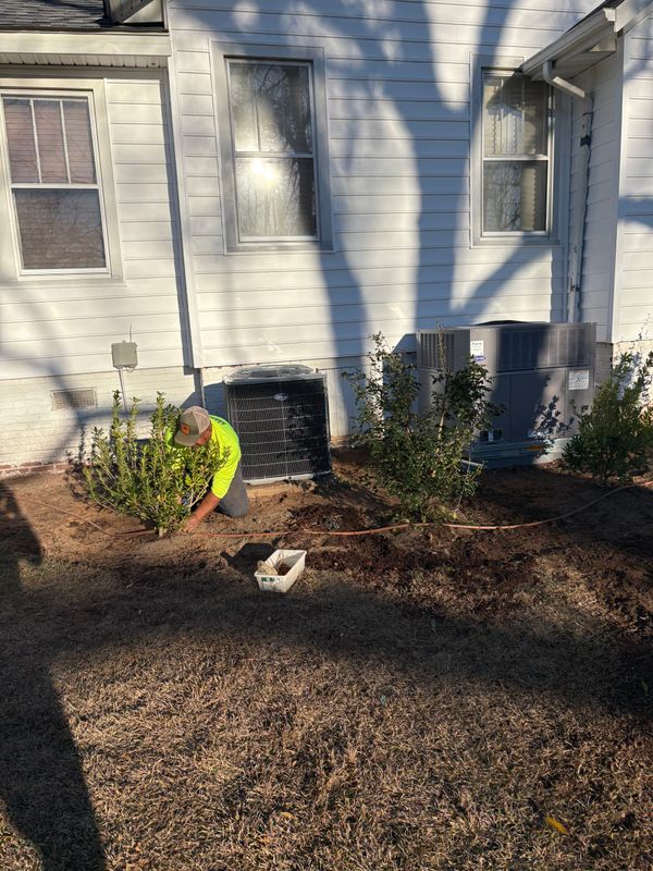 Landscape Design