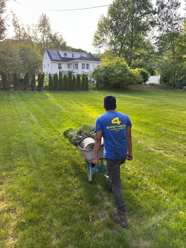 Sod Installation