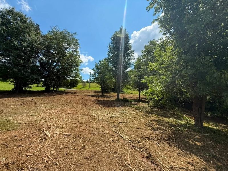 Land Clearing