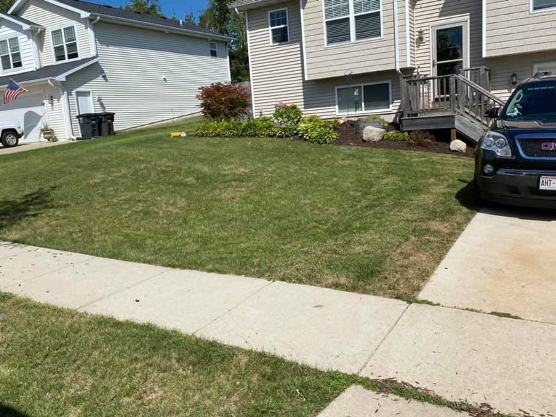 Shrub Trimming