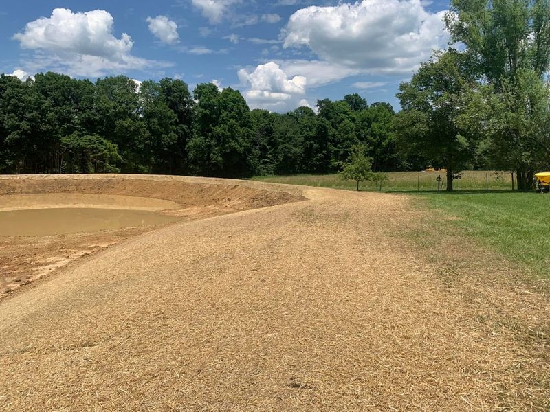 Building & Cleaning Ponds
