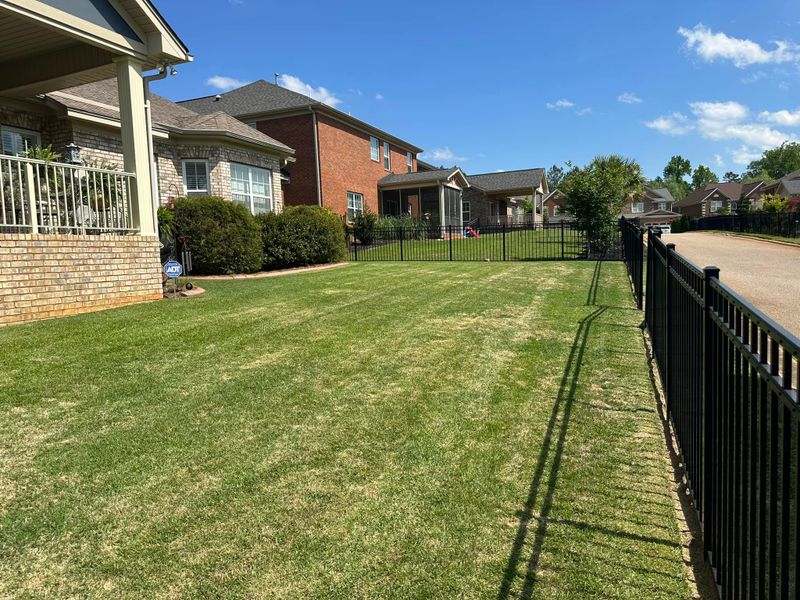 Landscaping