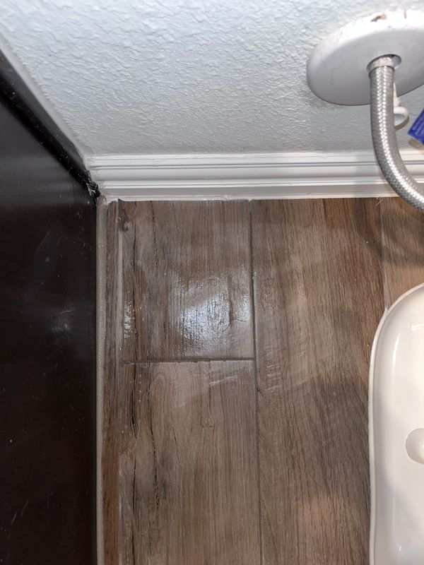 Bathroom Cleaning