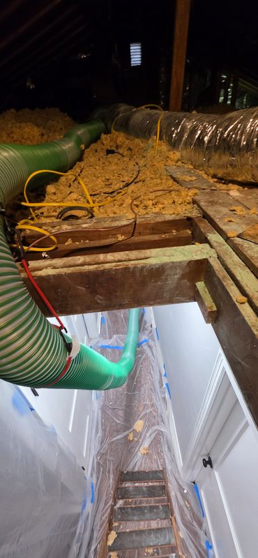 Attic Insulation