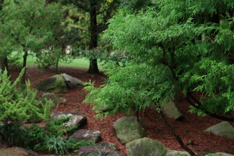 Garden Maintenance