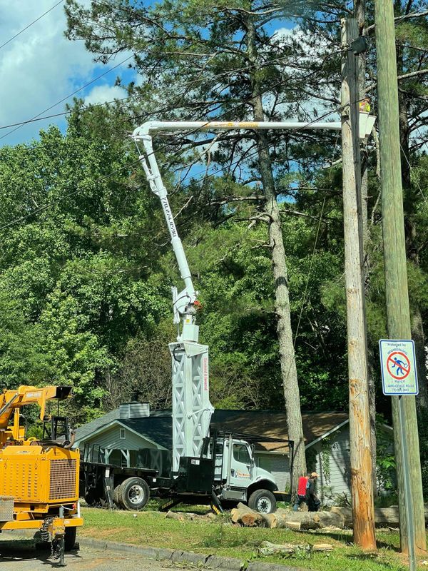 Tree Removal