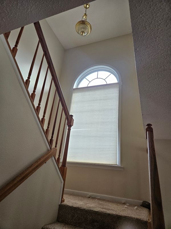 Commercial Painting