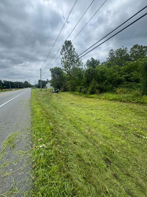 Land Clearing