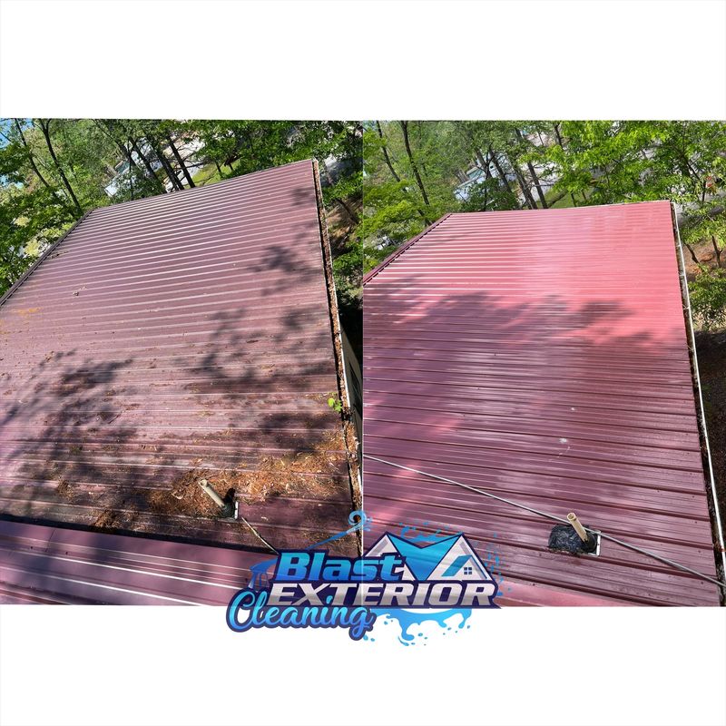 Roof Cleaning