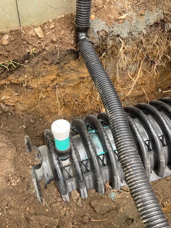 Septic Work