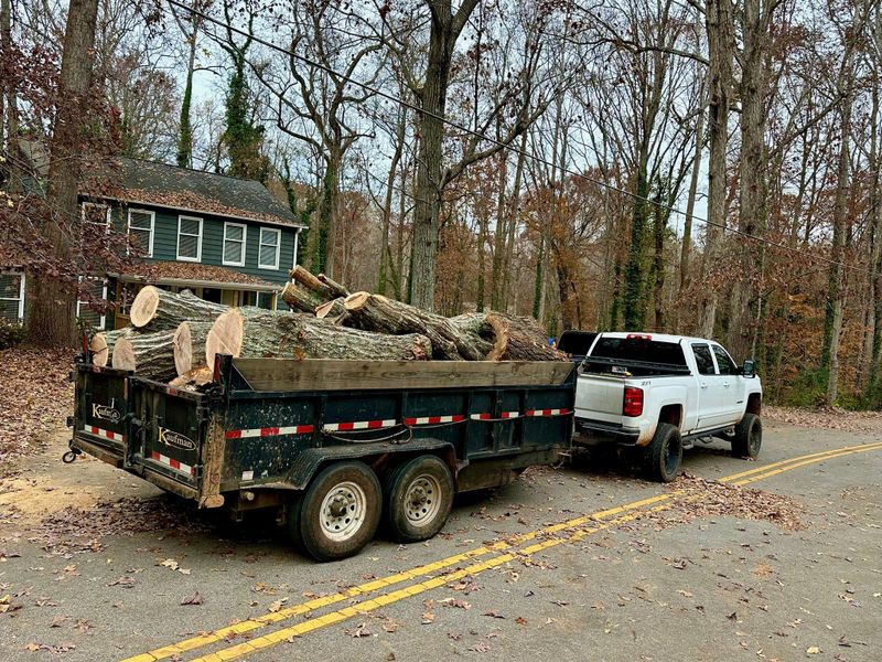 Stump Removal