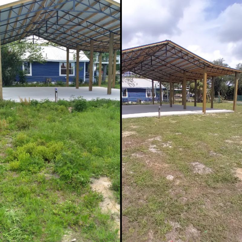 Before & Afters