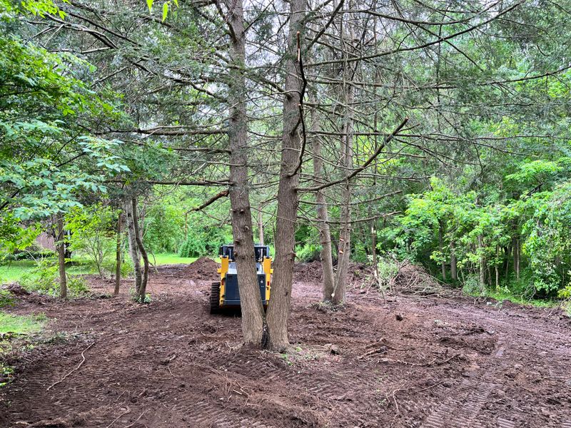 Land Clearing