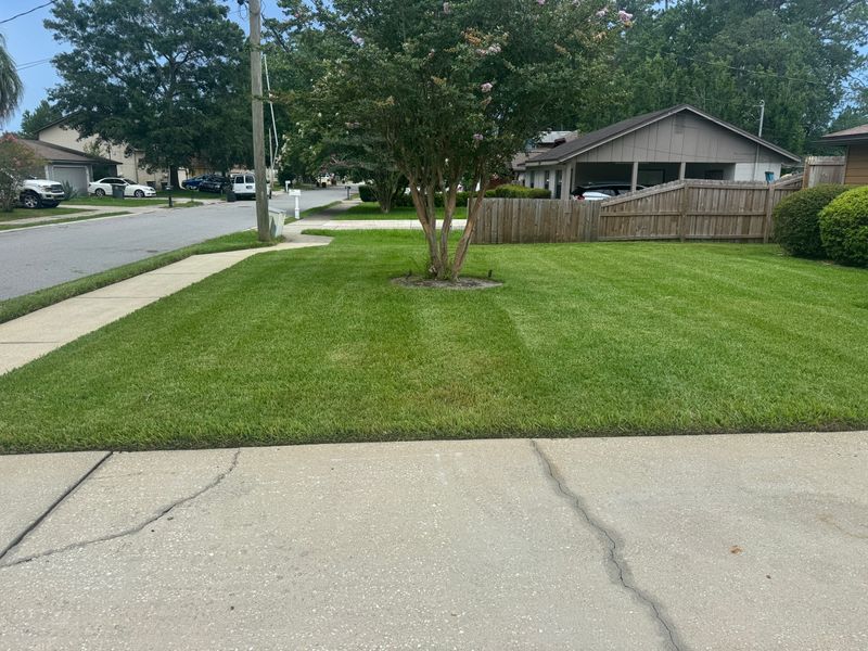 Lawn Care