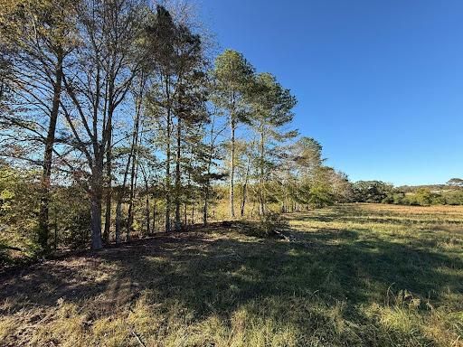Land Clearing