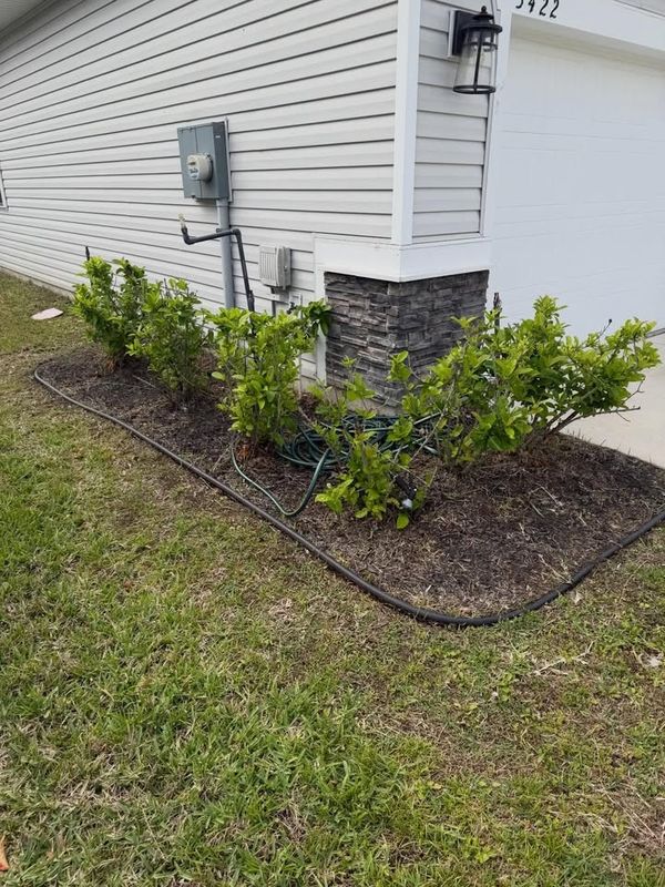 Shrub Trimming