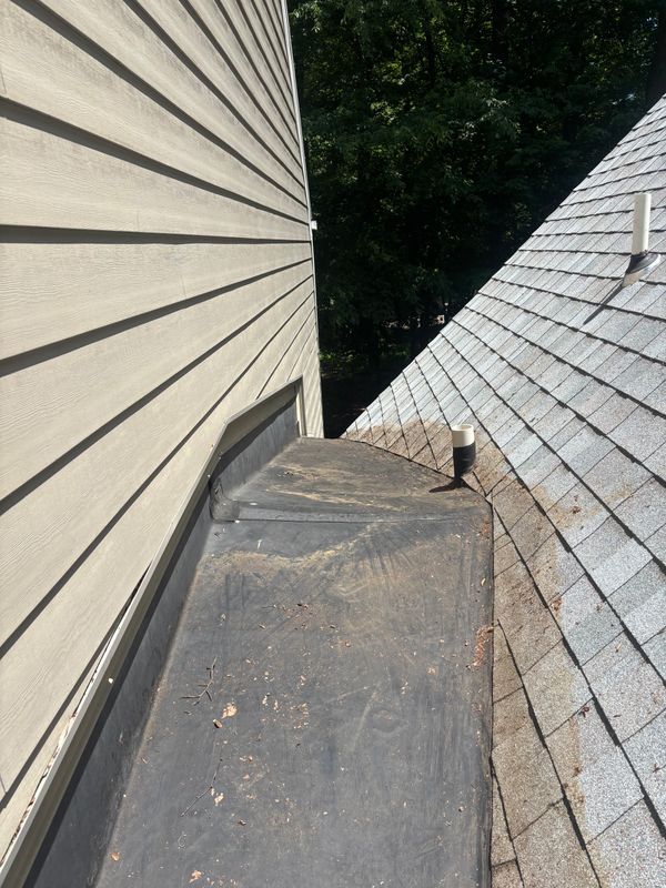 Roof Cleaning