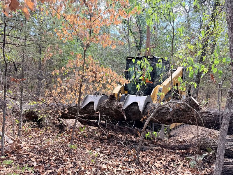 Land Clearing