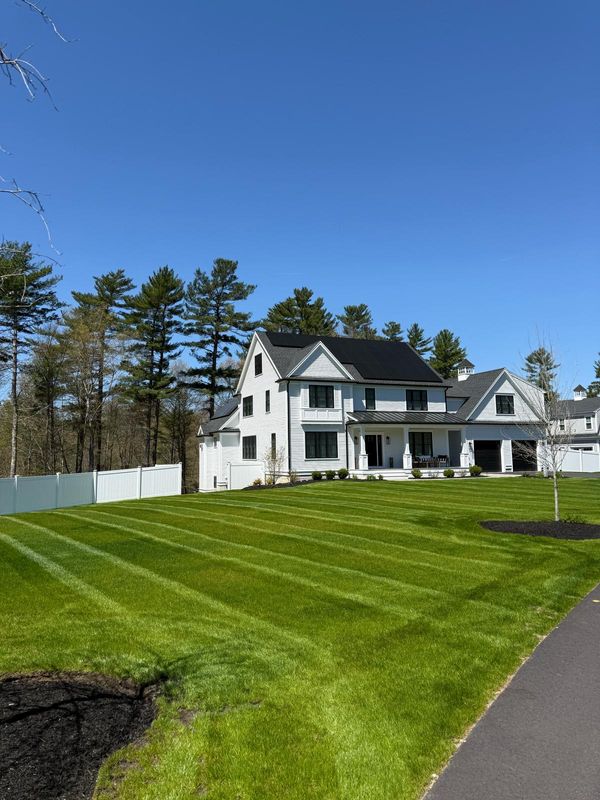 Lawn Mowing / Lawn Care Maintenance