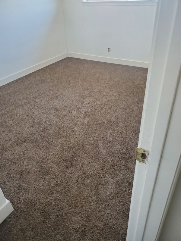 Carpet