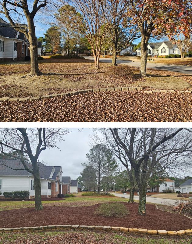 Before and After