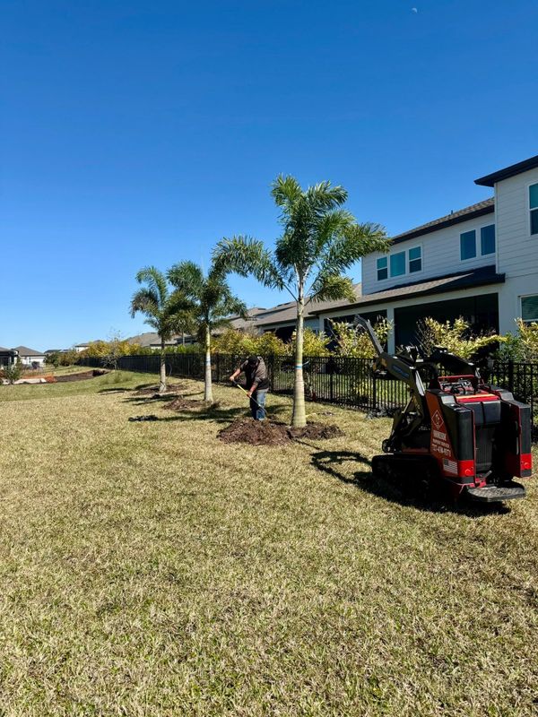 Landscaping