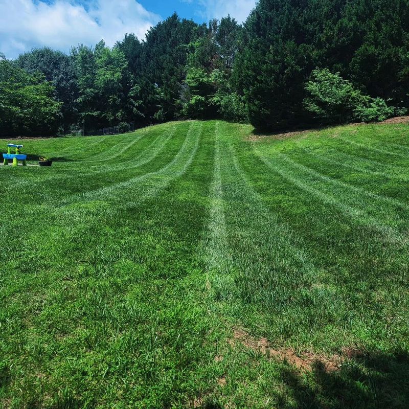 Mowing