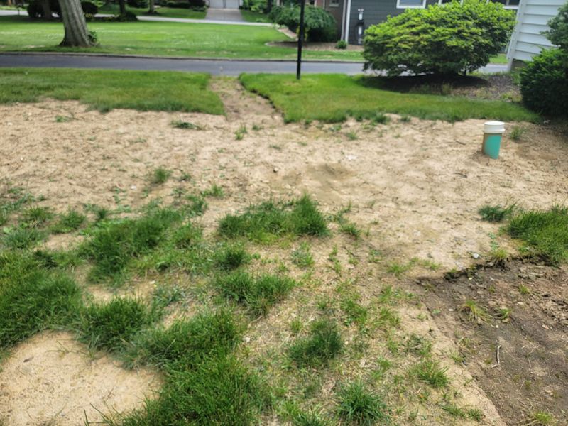 Landscaping
