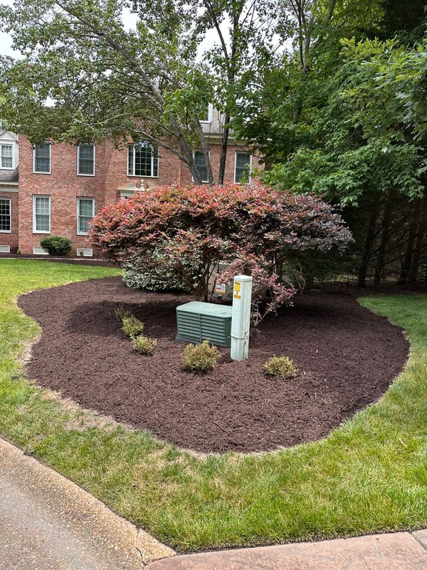 Landscaping
