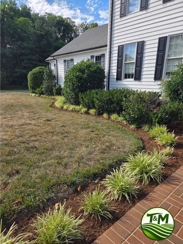 Landscape Design & Installation