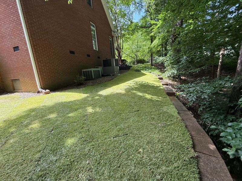 Landscape Design