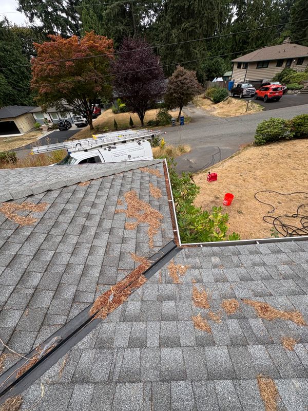 Roof Cleaning
