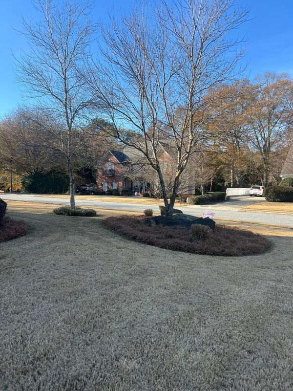 Fall and Spring Clean Ups