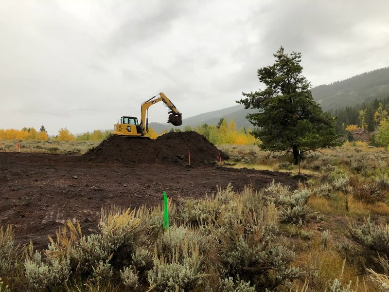 Land Clearing