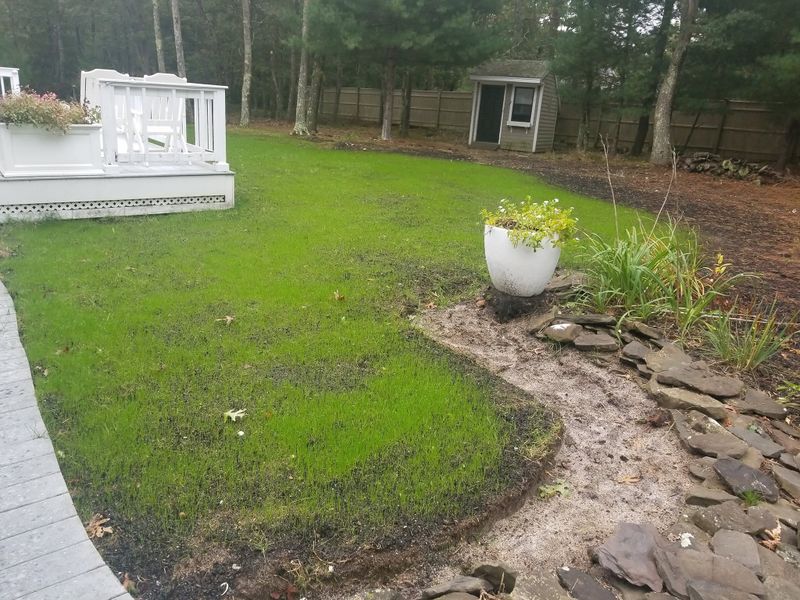 Landscape Design
