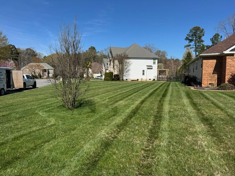 Lawn Mowing