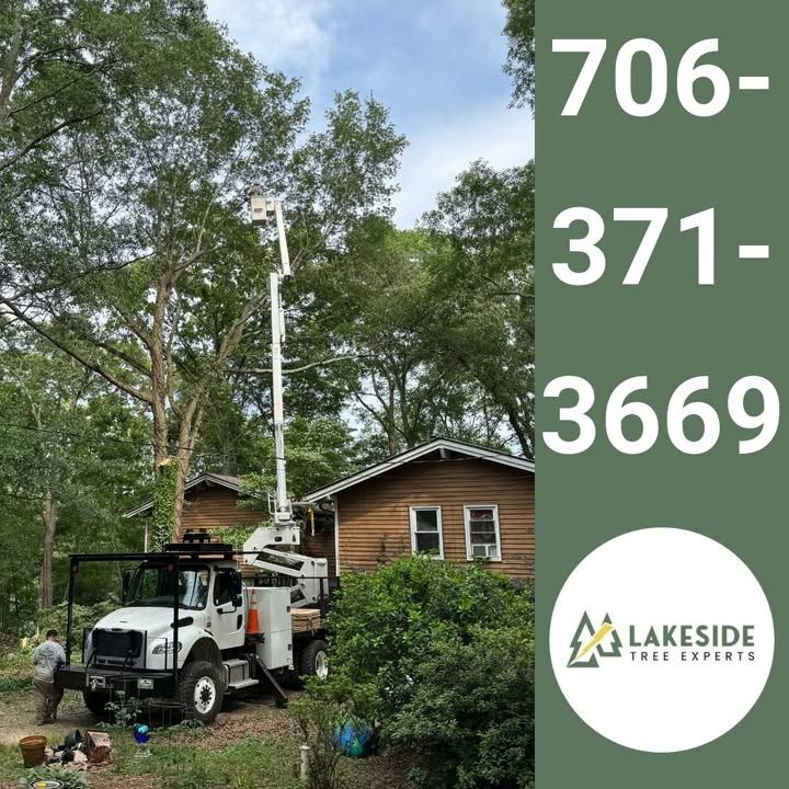 Tree Trimming